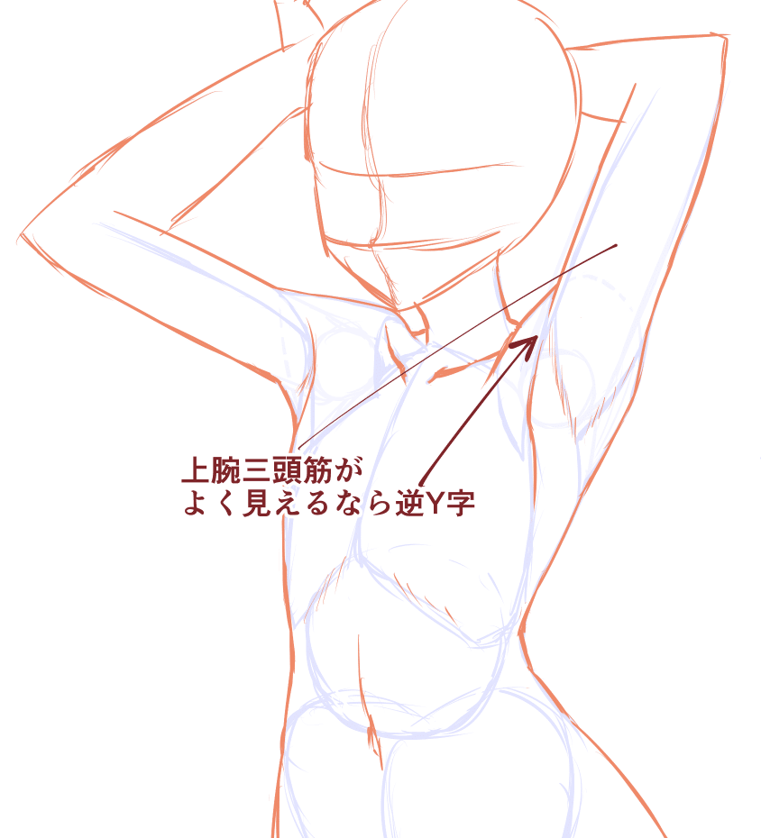 美乳　腋毛 