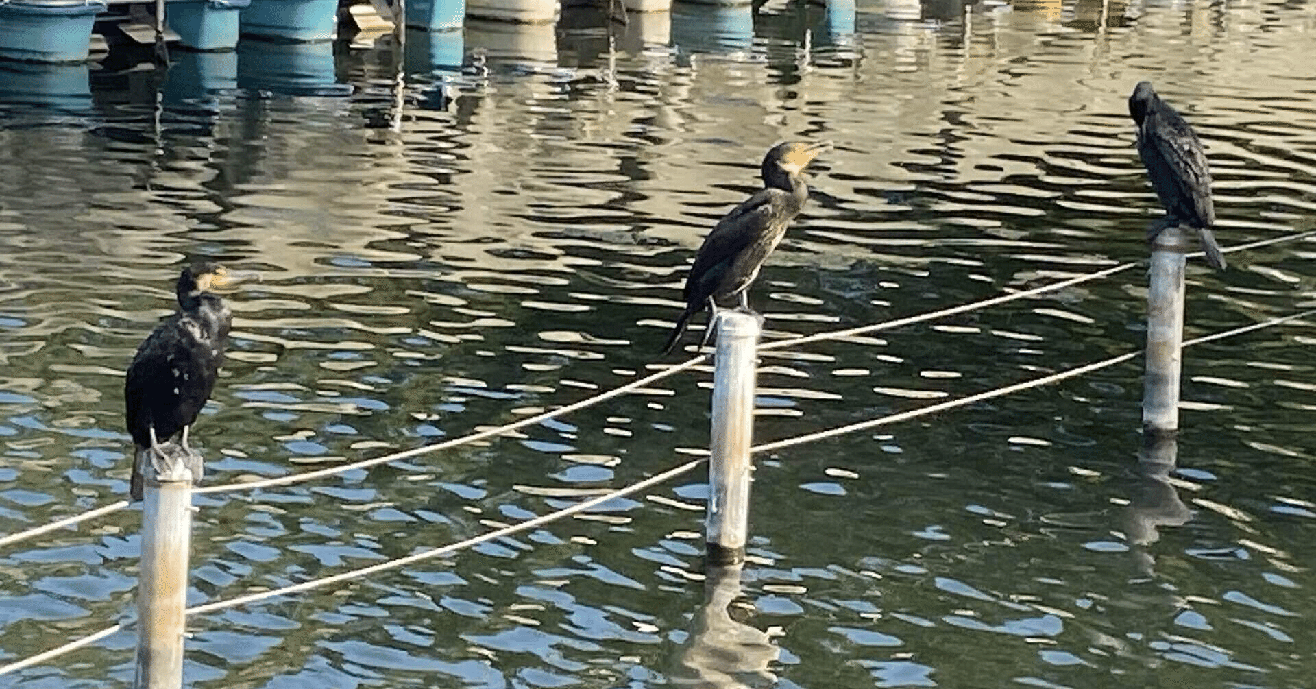 短答対策note各種について｜おじゅん