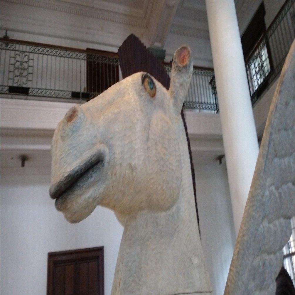 三沢厚彦ANIMALS Multi-Dimensions展（千葉市美術館）｜eneo