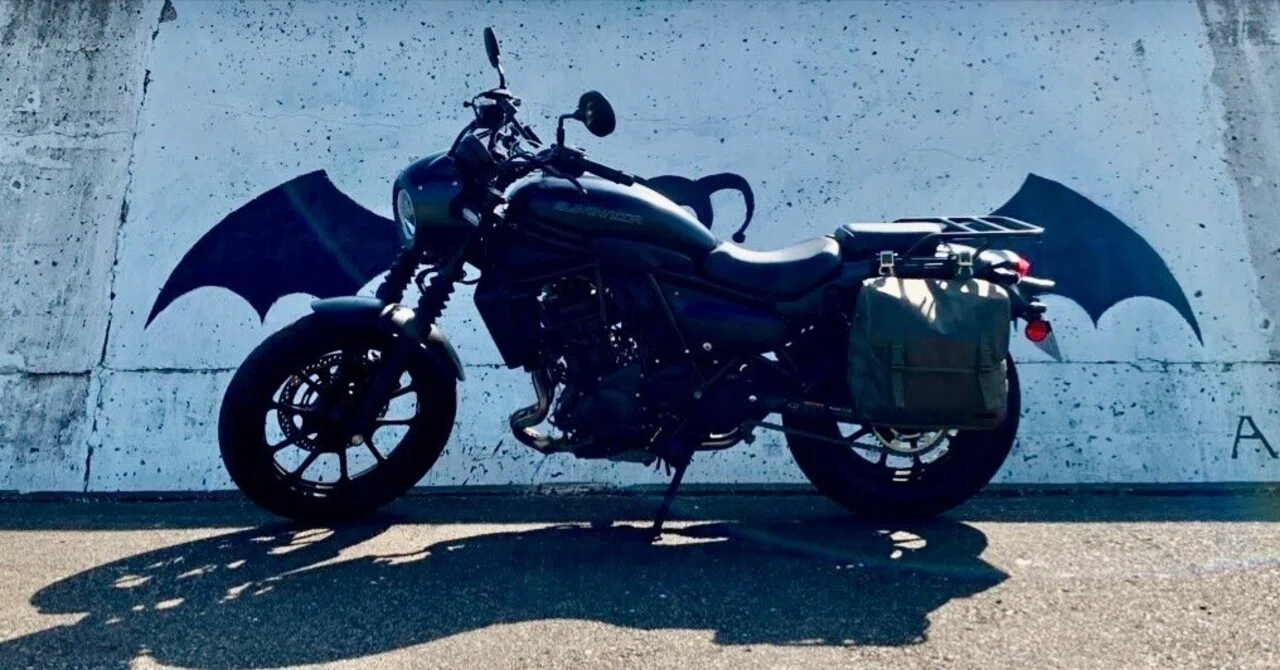 ELIMINATOR SE のカスタム きくりんぐ