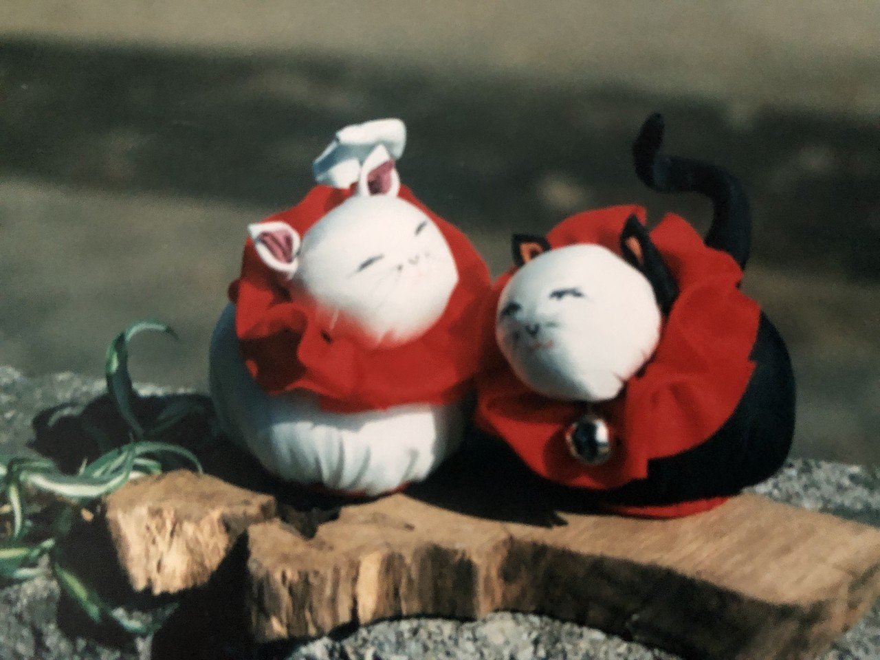紙粘土で動物 Poporin Note 紙粘土で動物 Poporin Note