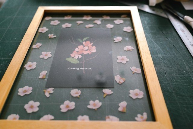 Cherry Blossoms 桜の花 額装の雑誌 アンカードラー Note Cherry Blossoms 桜の花 額装の雑誌 アンカードラー Note