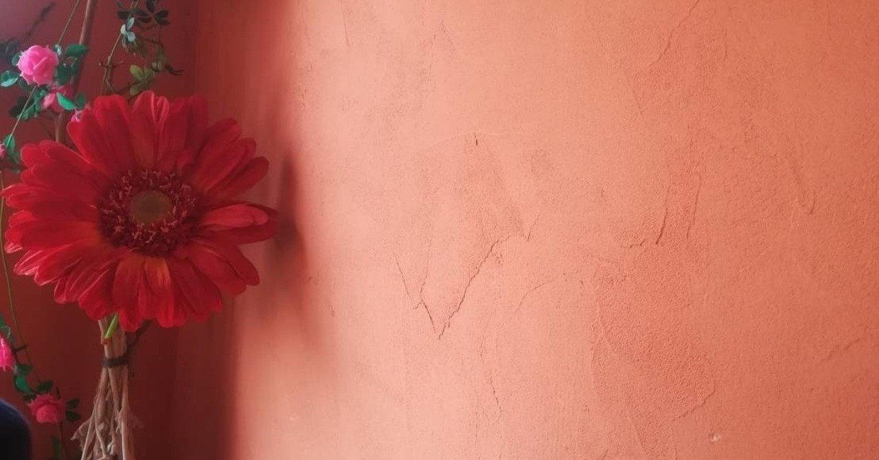 この彩り豊かな世界に生きる君たちへ 林真紀 Note