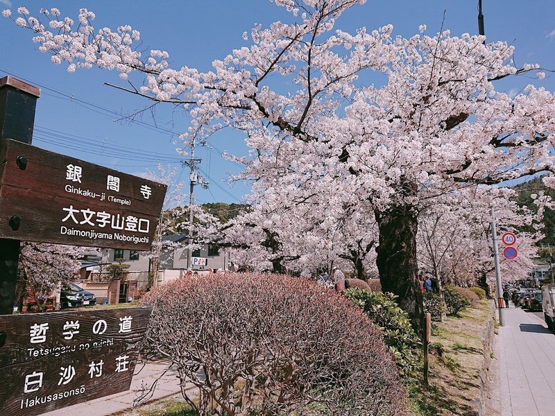 京都 桜の旅 ケイ 小説書き Note 京都 桜の旅 ケイ 小説書き Note