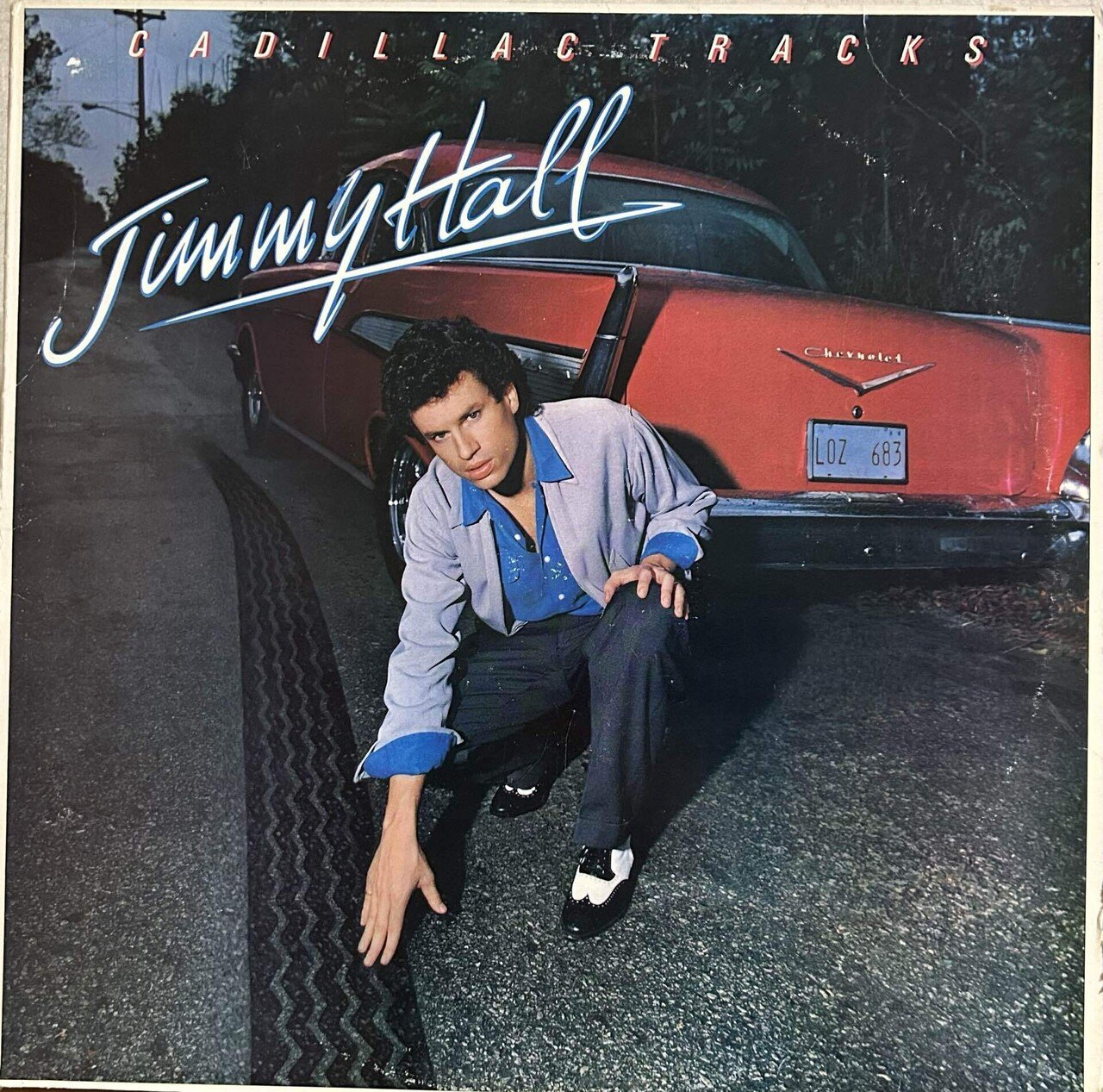 WET WILLIEのレコード 第二弾！｜domus