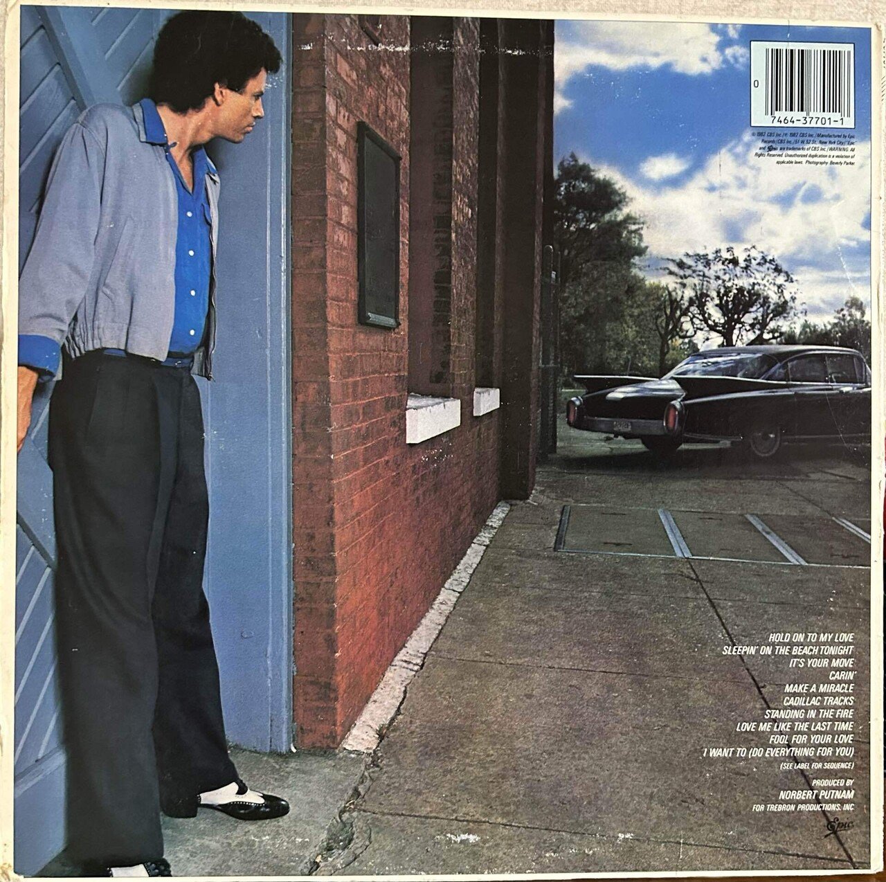 WET WILLIEのレコード 第二弾！｜domus