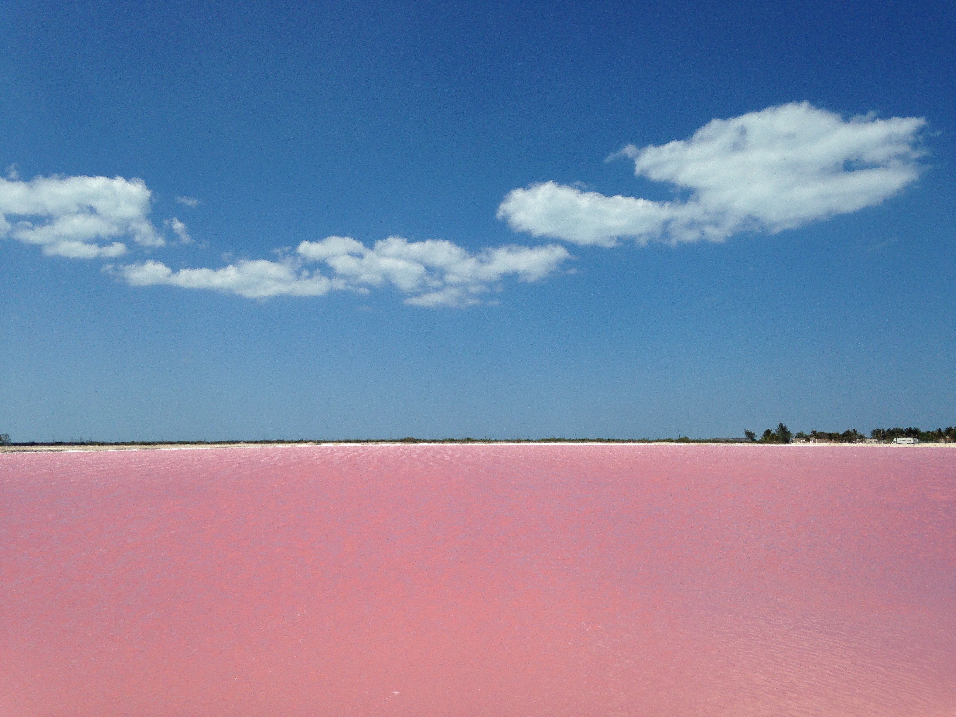 ピンクラグーン の新着タグ記事一覧 Note つくる つながる とどける