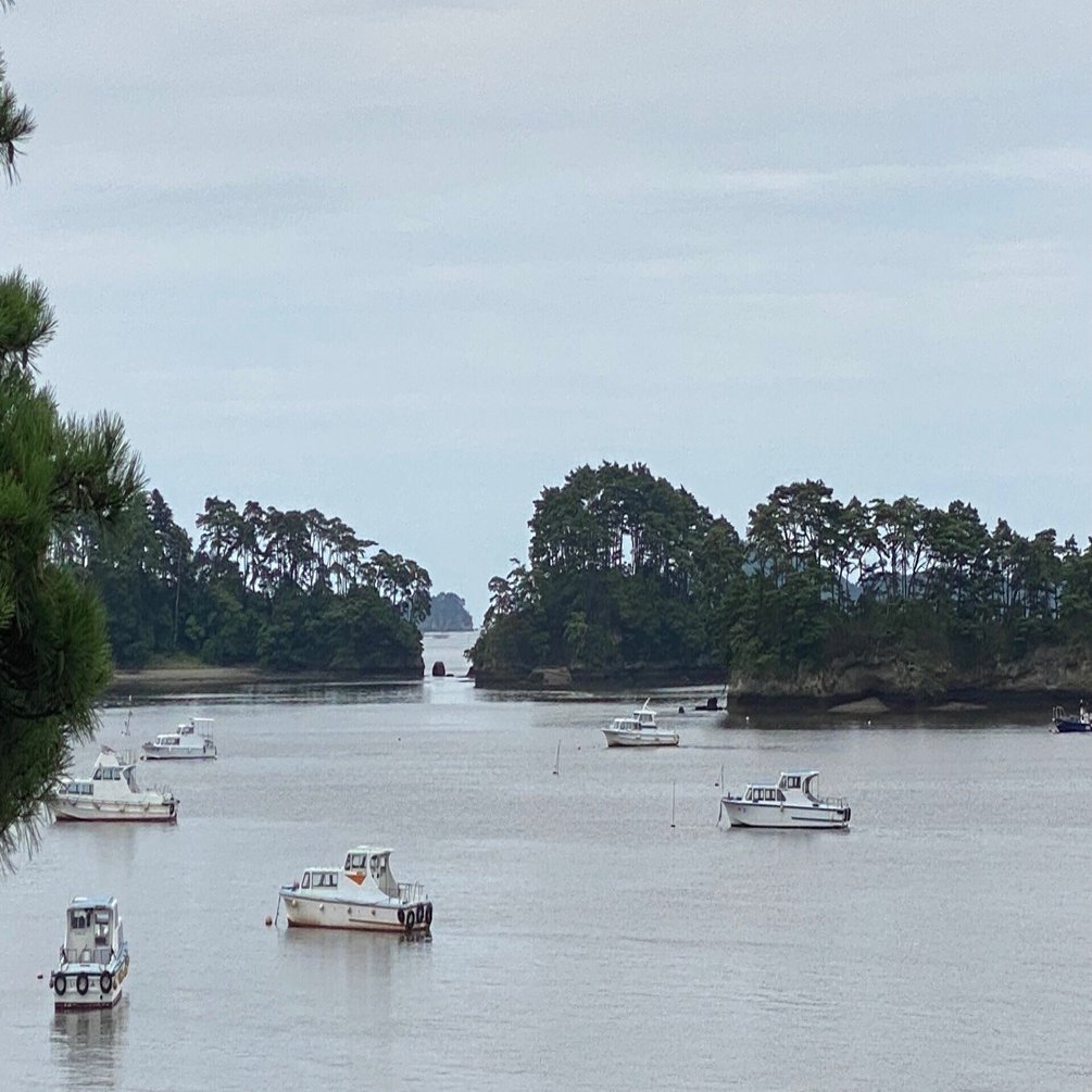 ばたちゃ【コメント必読】 クイック・ジャパン 160 | 太田出版 |本 | 通販 | Amazon