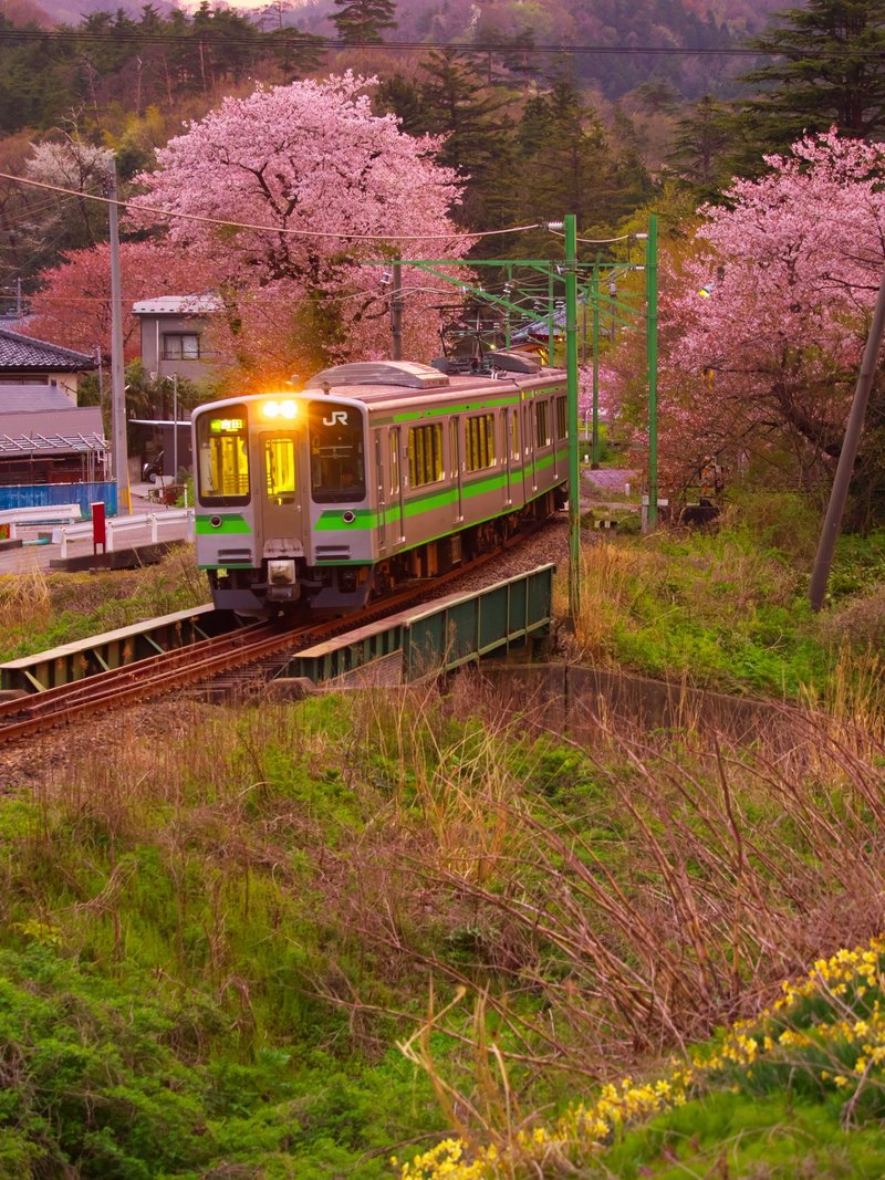 弥彦線起点駅の弥彦駅です Wombat959 Note
