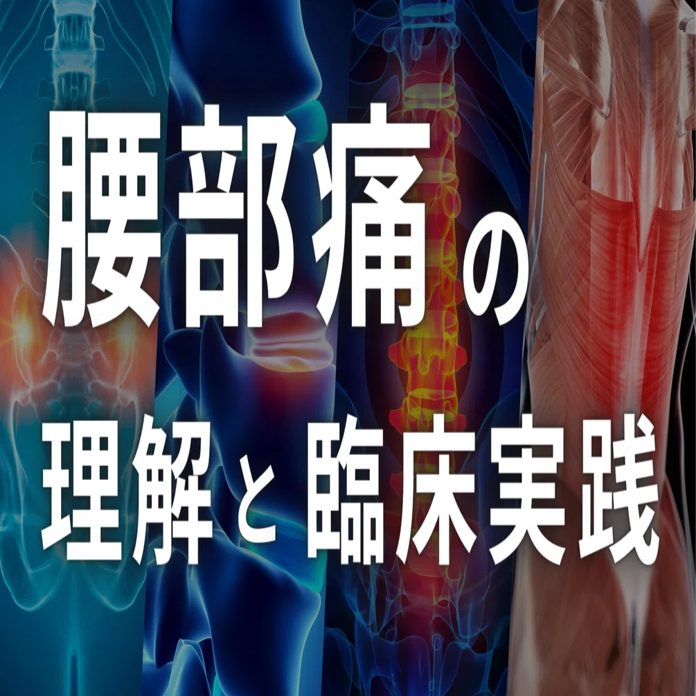 腰部痛の理解と臨床実践｜理学療法士による臨床のためのnote