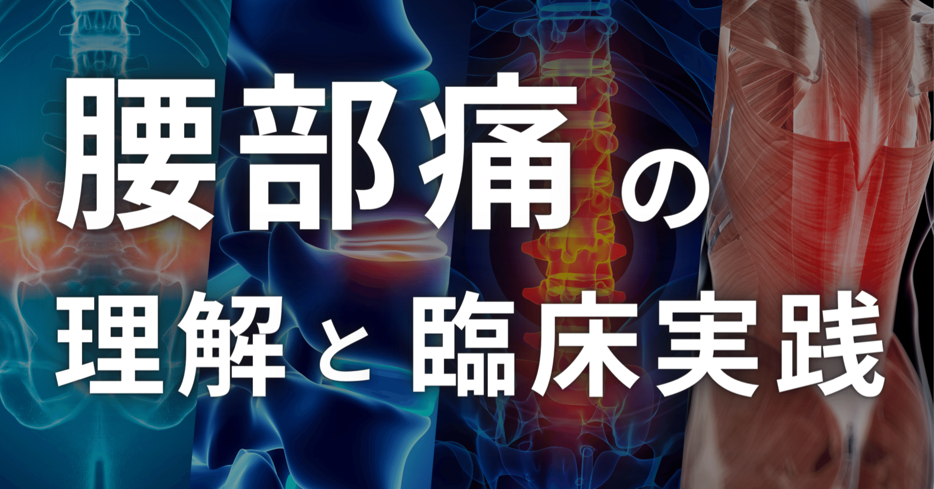 腰部痛の理解と臨床実践【サブスク】｜理学療法士による臨床のためのnote