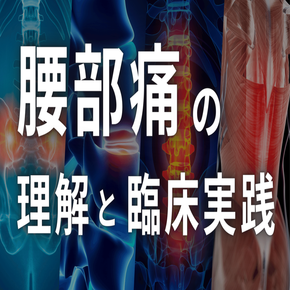 腰部痛の理解と臨床実践【サブスク】｜理学療法士による臨床のためのnote
