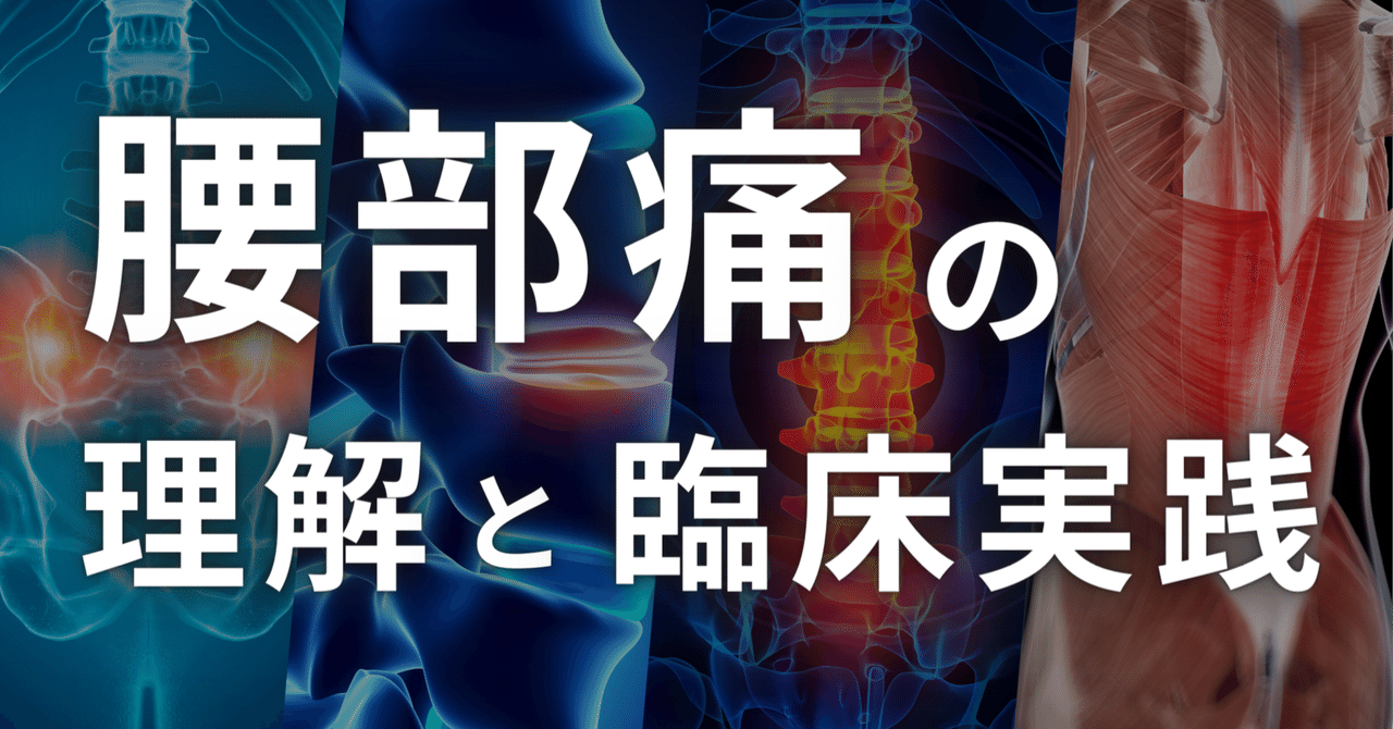 腰痛症に対する理学療法評価　1と2 腰痛症に対する理学療法 青木一治 DVD 半額以下の通販 by ゆき