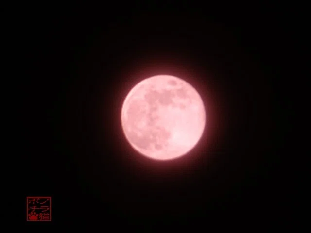 画像16
