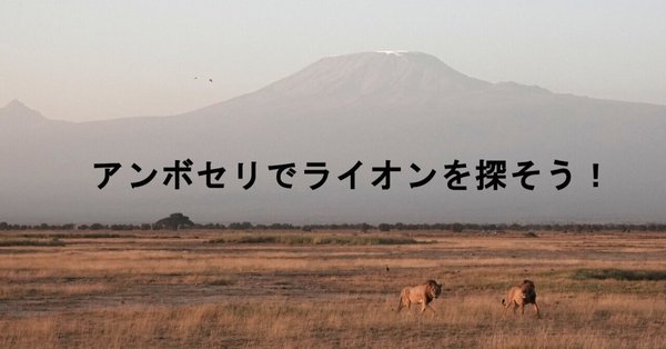 【新品未開封・送料無料】 まるまるサファリの本』＊サファリ取材の裏ばなし - ケニア 地図・旅行ガイド