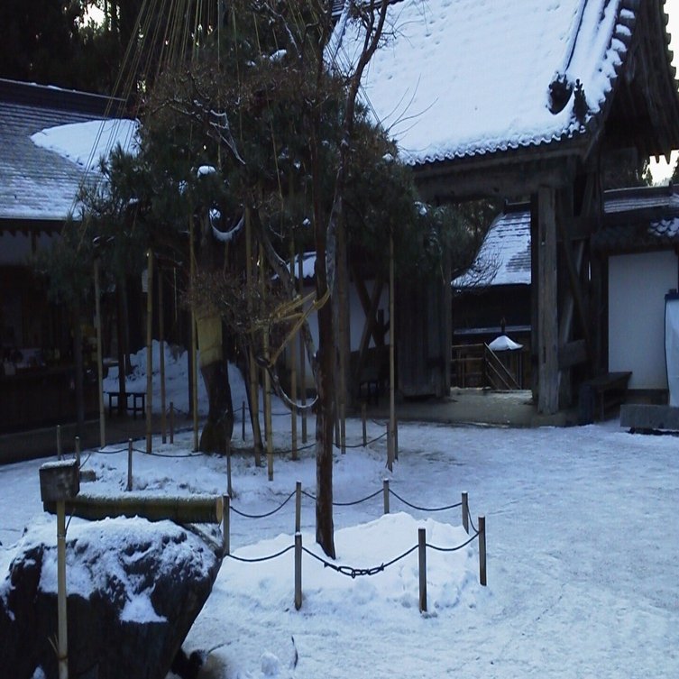 おしゃべりケーちゃん(競馬の神様　大川慶次郎) おしゃべりケーちゃん(競馬の神様 大川慶次郎) - メルカリ