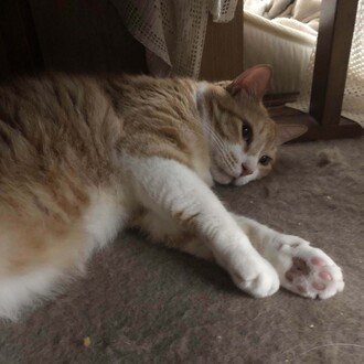 ピンクパンサー