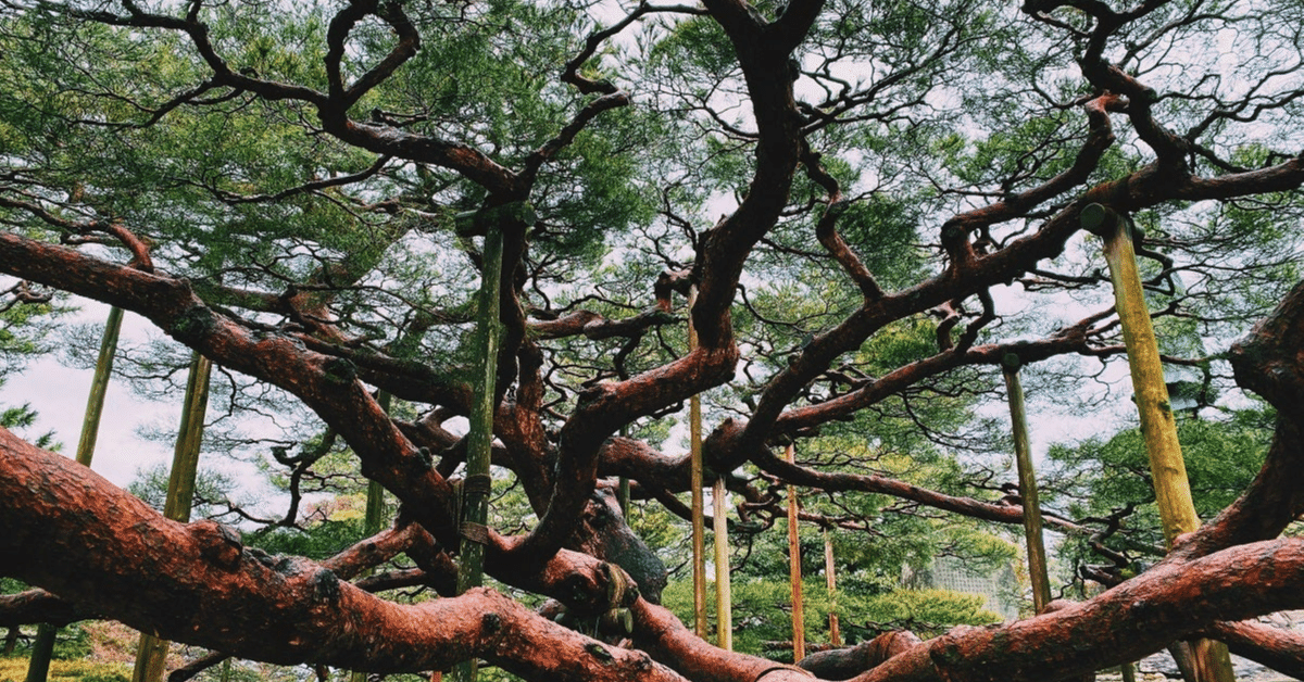 あの日、松の廊下で｜六月