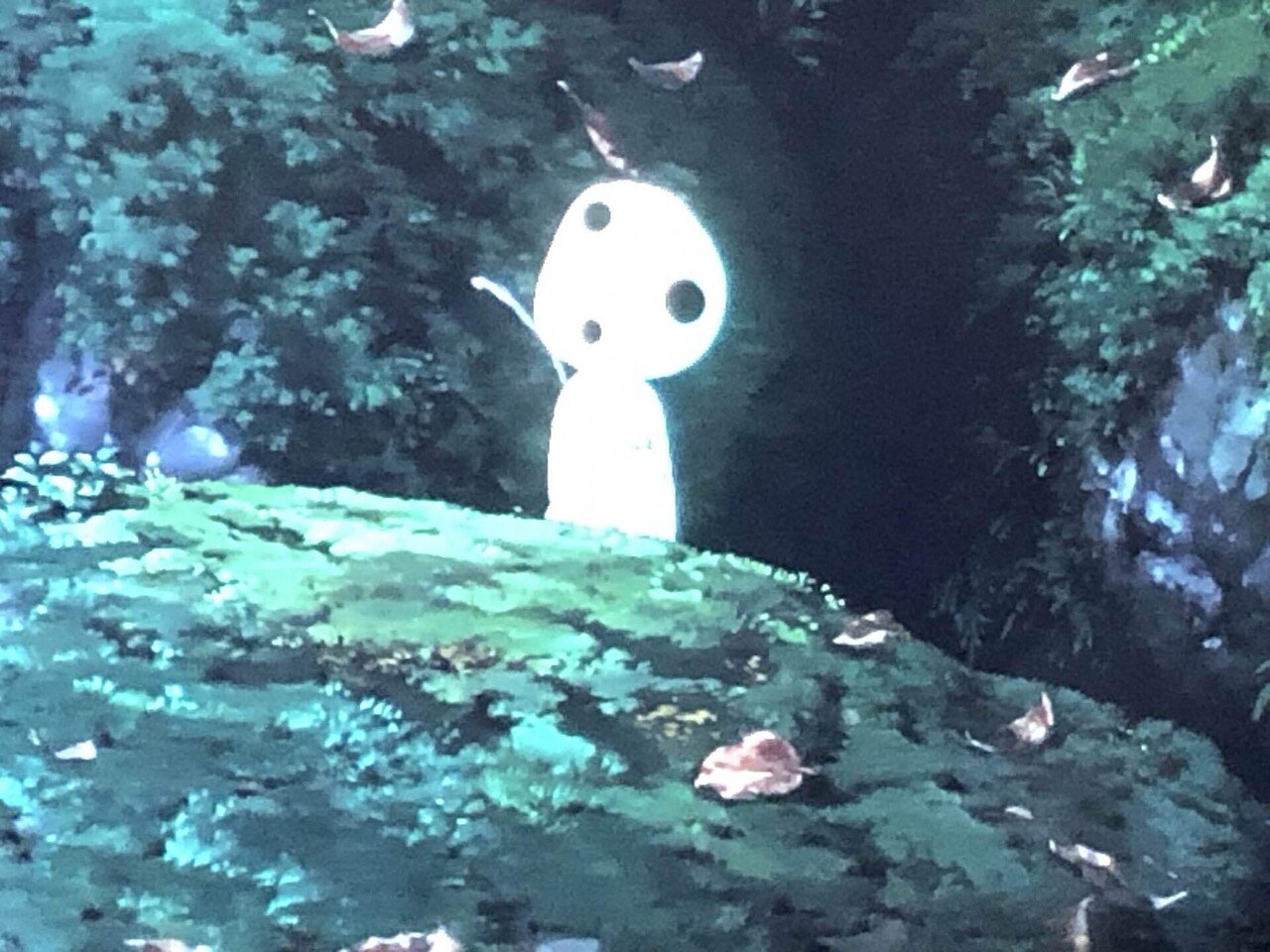 混ざれない世界｜maa