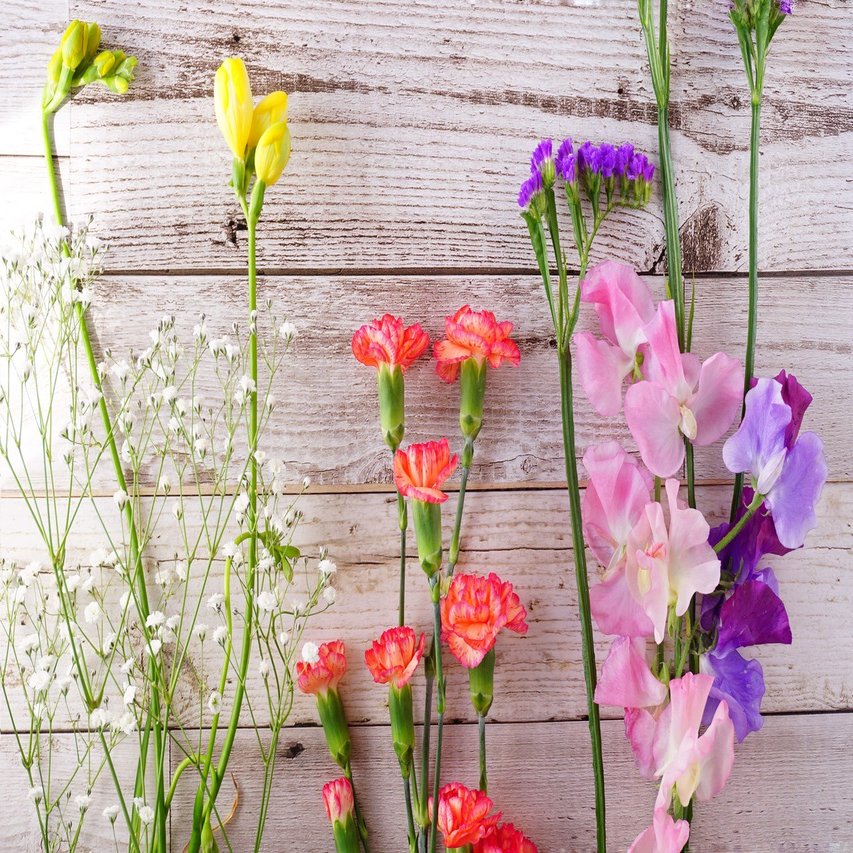 スーパーの花を侮るなかれ 岩田紫苑 Note