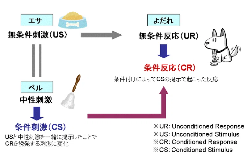 心理学検定のキーワードをおさえて 大学の心理学をざざっと学ぼう 学習 認知 知覚 タケシ 真理と心理の求道者 Note