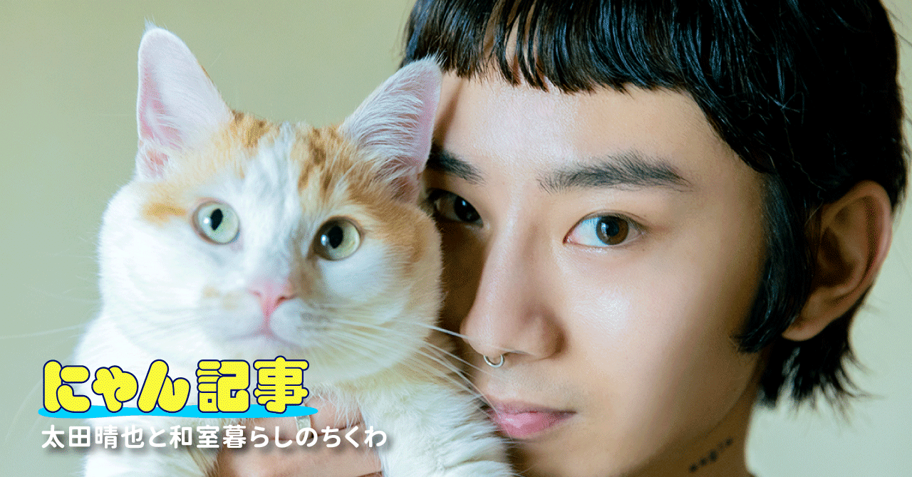 キミとねこ。―太田晴也と和室暮らしのちくわ―｜ヤマト運輸公式note