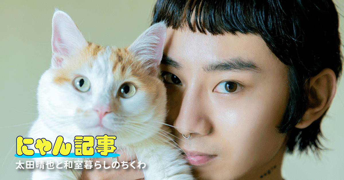 キミとねこ。―太田晴也と和室暮らしのちくわ―｜ヤマト運輸公式note