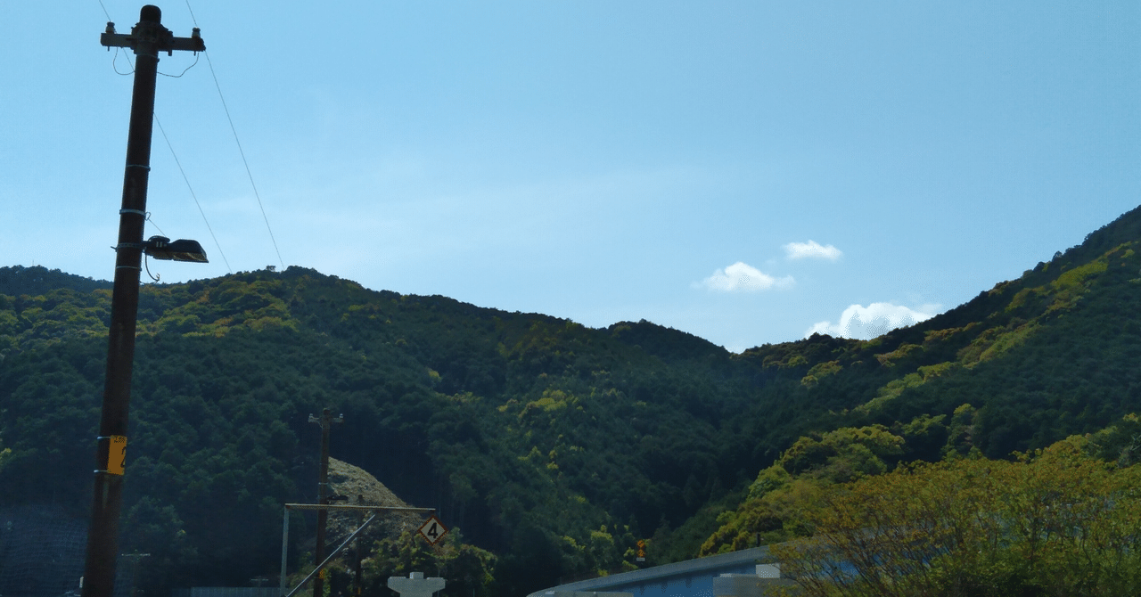 BAMBOO INCUBATOR/はじめての資本政策｜sunao