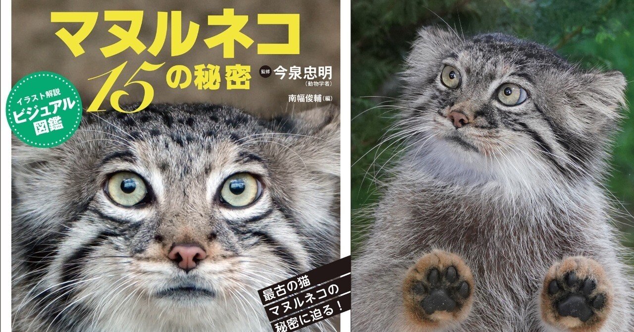 5800218fee0b4f51cc0c86e8cfc293