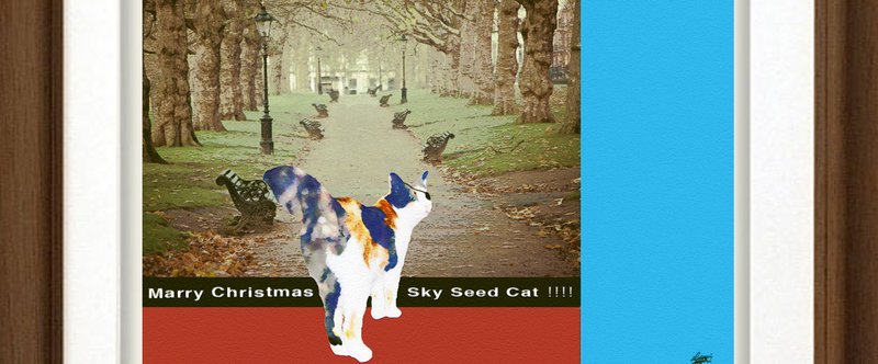 Marry Christmas Sky Seed Cat!!!!