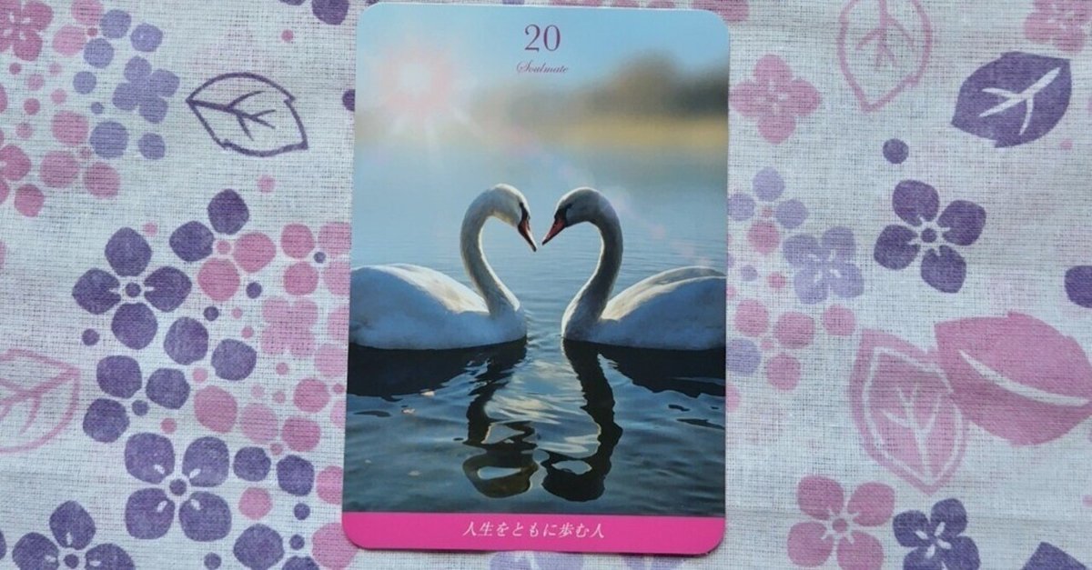 🤍🦢2023.7.26のマゼンタラブオラクルカードメッセージ🦢🤍#690