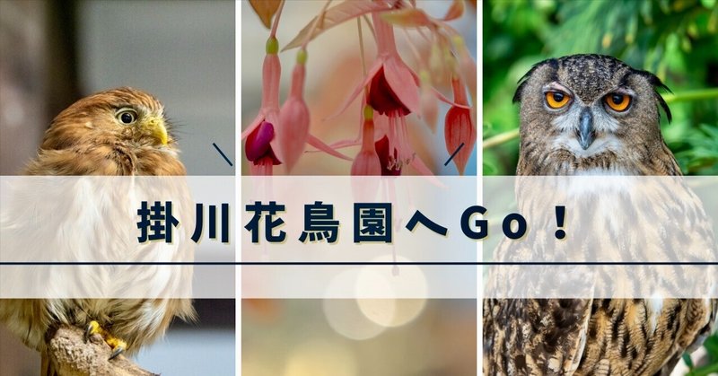 掛川花鳥園へGo！カワイイ生きものたちとの楽しいひととき