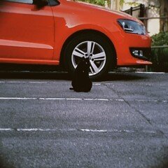 音楽　「赤い車と黒い猫」