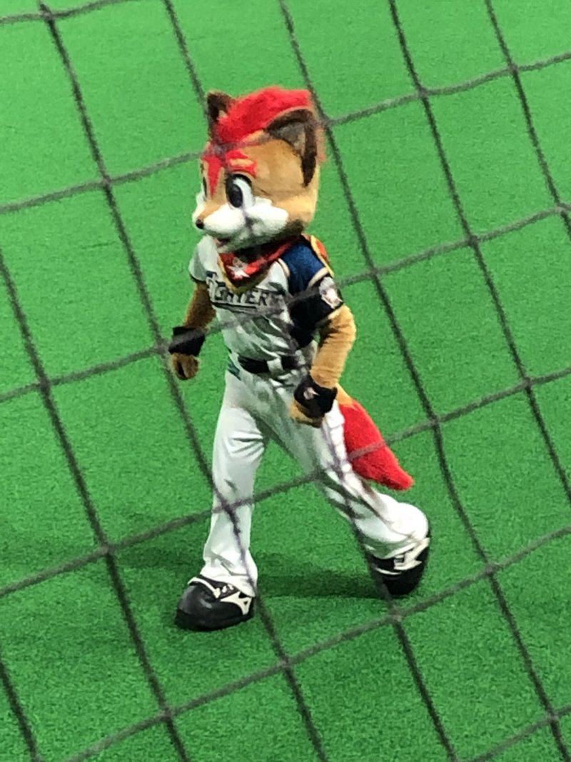 日ハム フレップがイケメンすぎた マスコット ククルクルル Note 日ハム フレップがイケメンすぎた マスコット ククルクルル Note