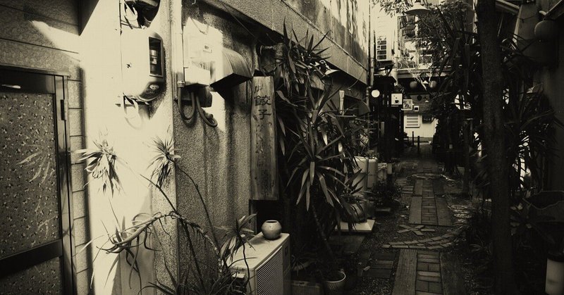 かつては激裏スポットだった、和歌山市某所にある謎のレトロ飲み屋街を見物する