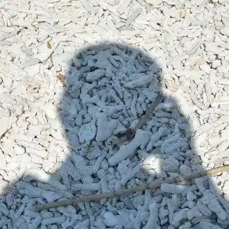 フタイ カオル