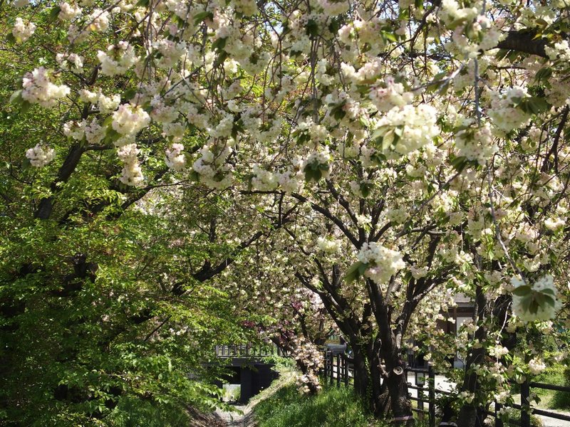 19 04 浦和レッズ Vs ヴィッセル神戸 埼玉スタジアム02 神戸 監督 変えてどうなるのか Tamamura Note