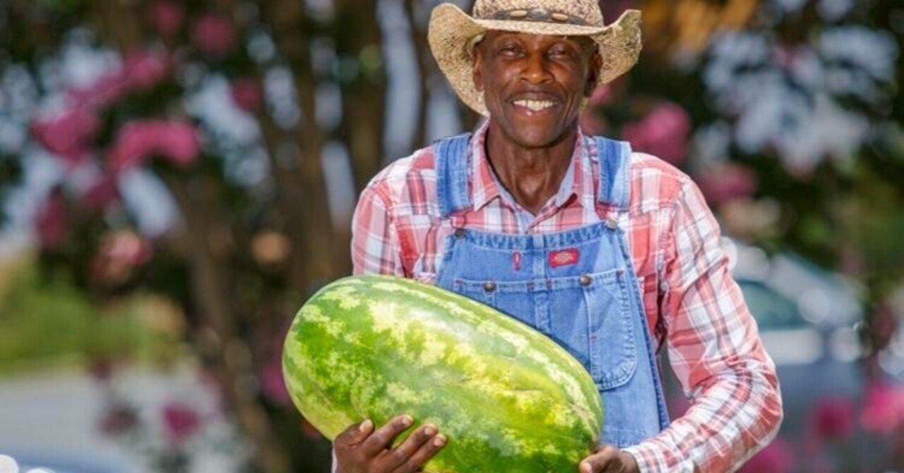 ウォーターメロン・マン/Watermelon Man - YouTube