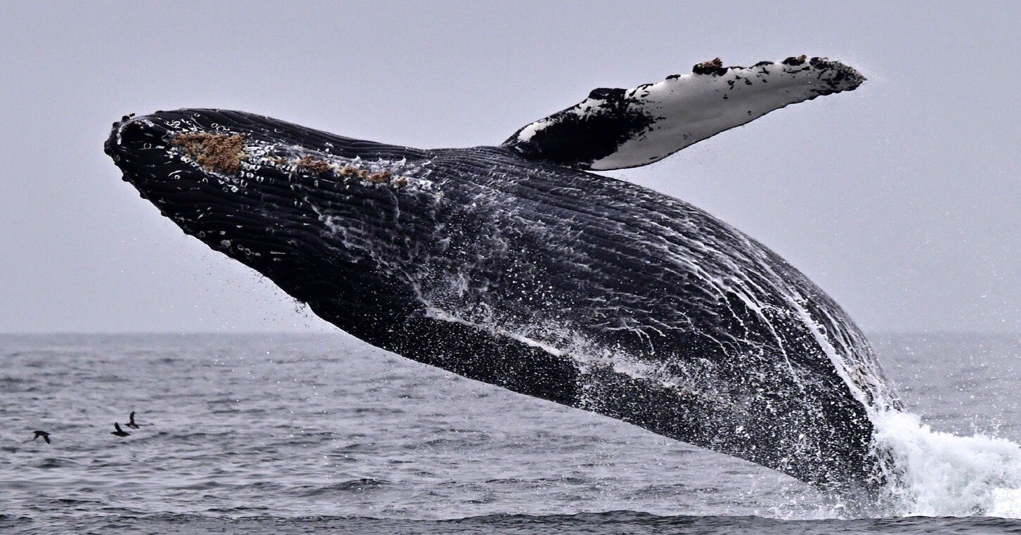 9bba3bcb81a3a4c80ee8d2e9f6c5c3