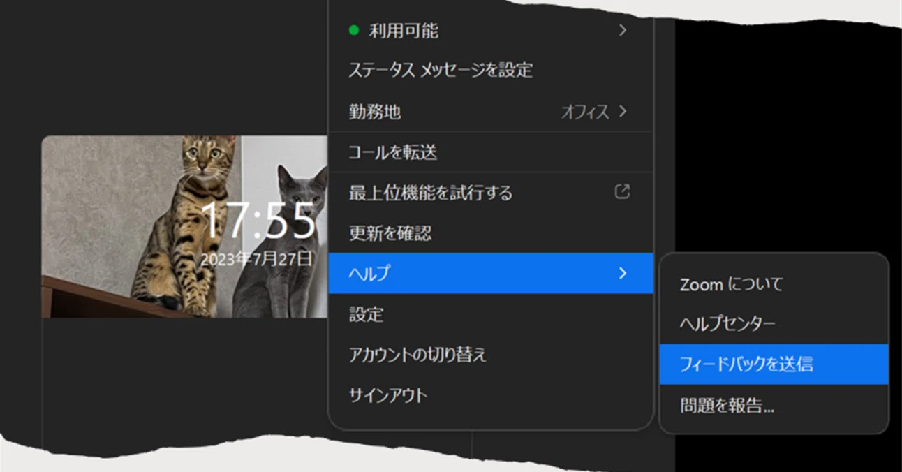 Zoom】機能リクエストを出す方法｜潘 みのり