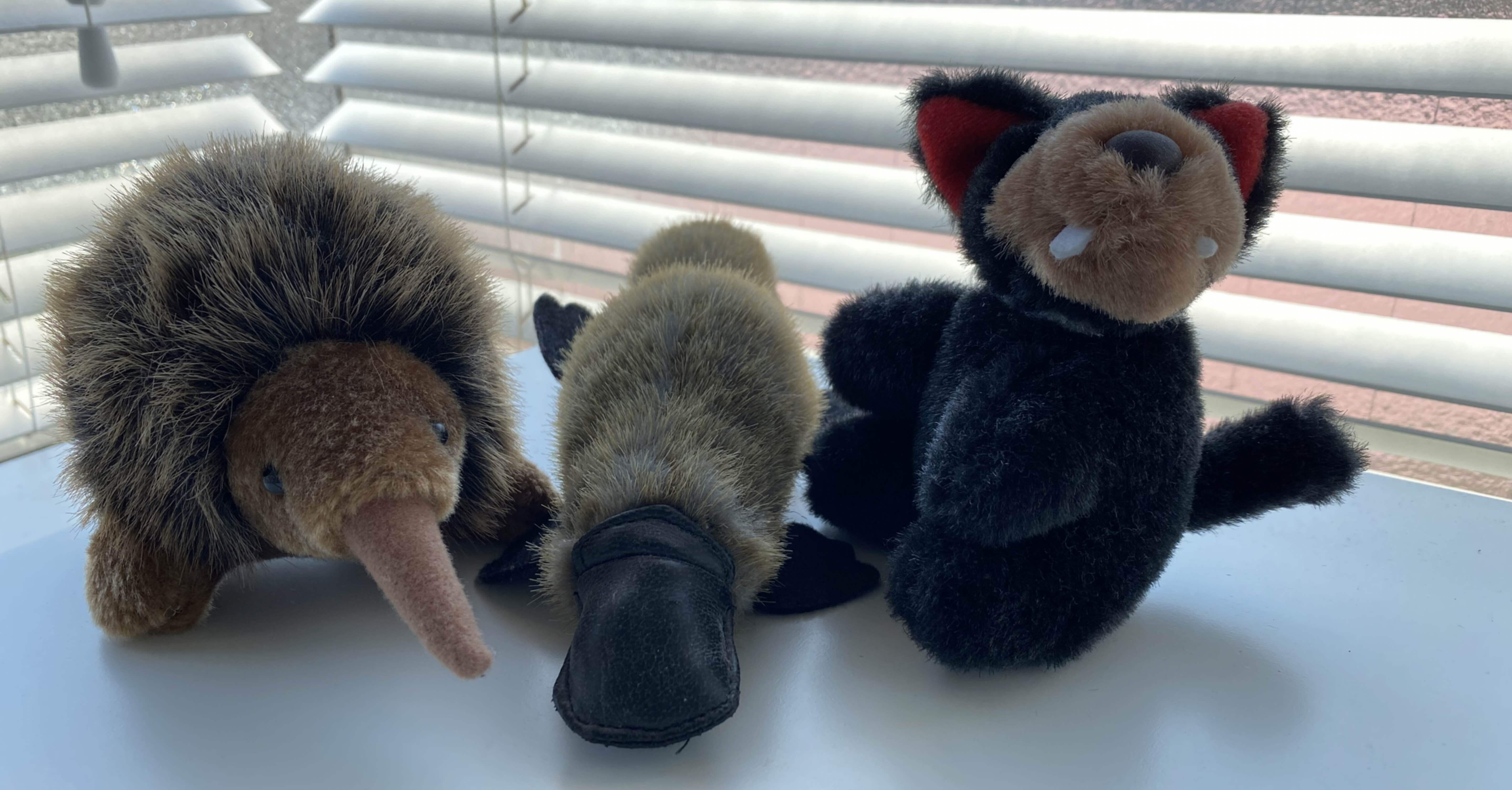 095bfcafe90c154eb4fbee227aa3fc