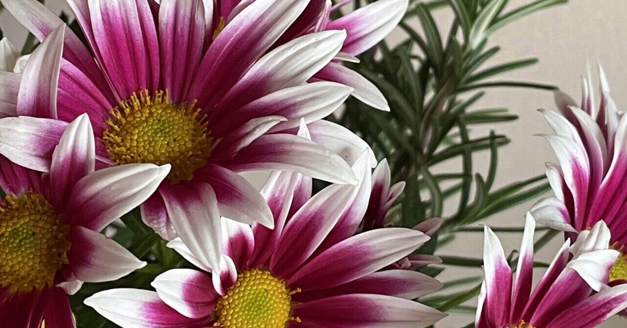 至高者の詩｜R3