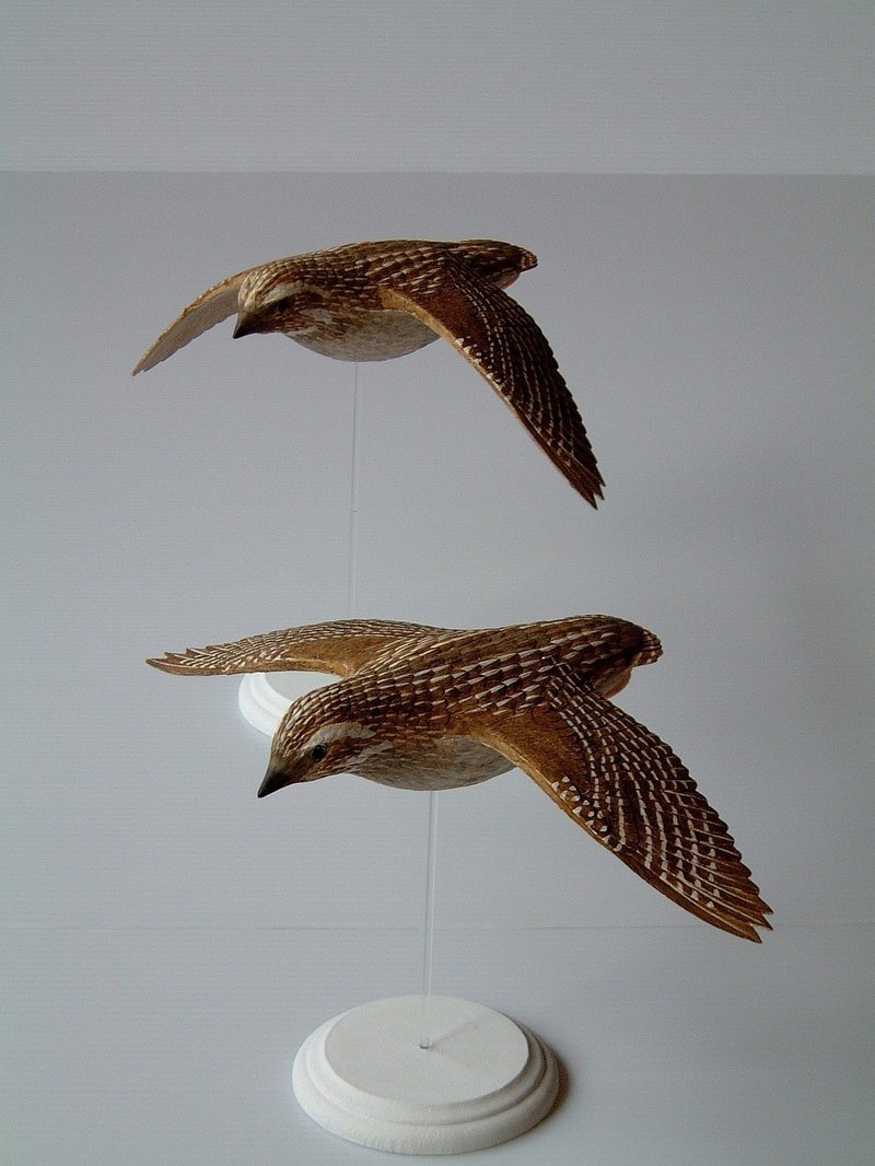 ベスト うずら 渡り鳥 無料画像の家 ベスト うずら 渡り鳥 無料画像の家