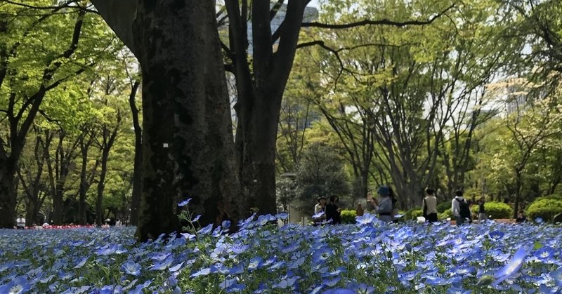 日比谷公園でのお散歩