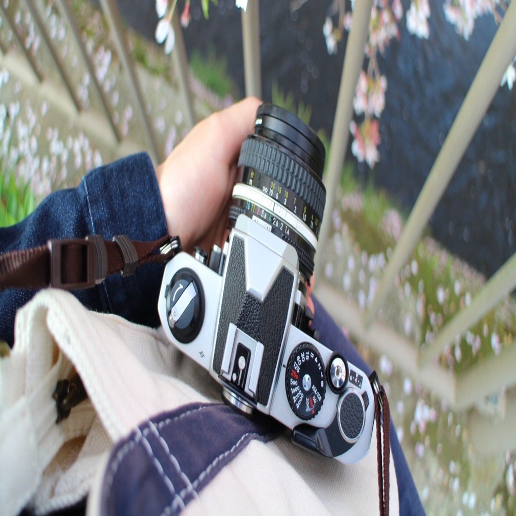 FM2を手放してZfcを買った｜ga