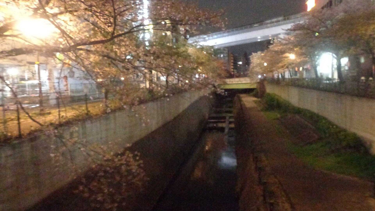 多摩センター駅前_4月3日__桜3