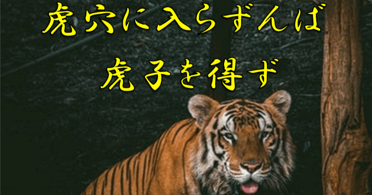 ことわざから投稿するシリーズ⑤「虎穴に入らずんば虎子を得ず