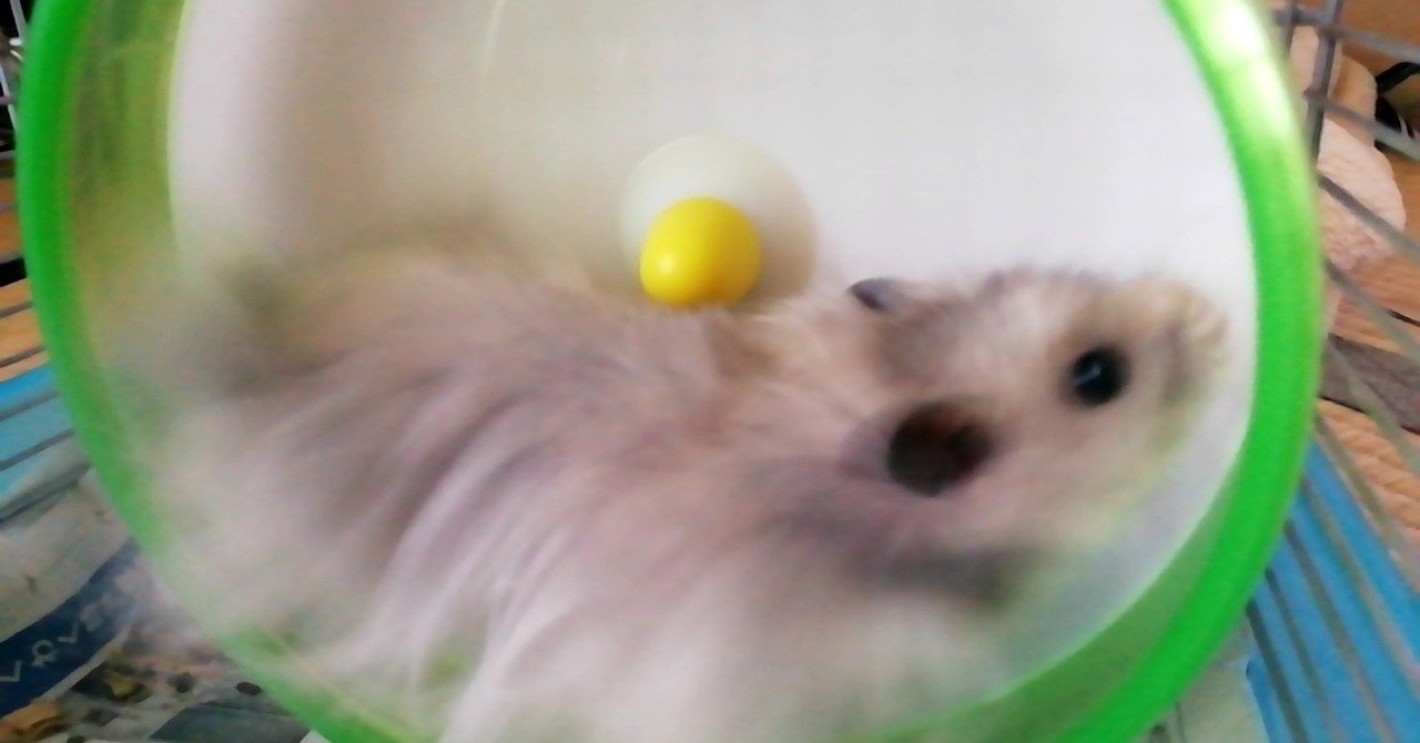 ハムスター を飼う 小道具編 にゅ ぶる Note