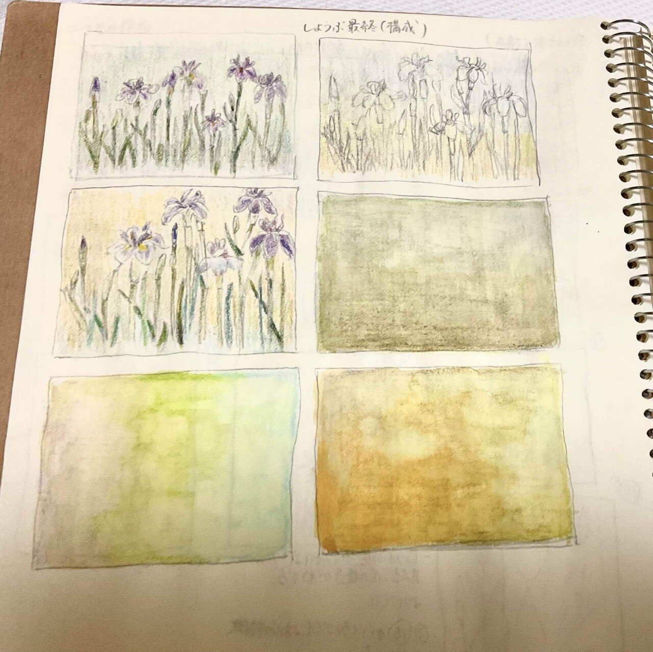 久しぶりの日本画 菖蒲を描いて｜aosagi_daisy