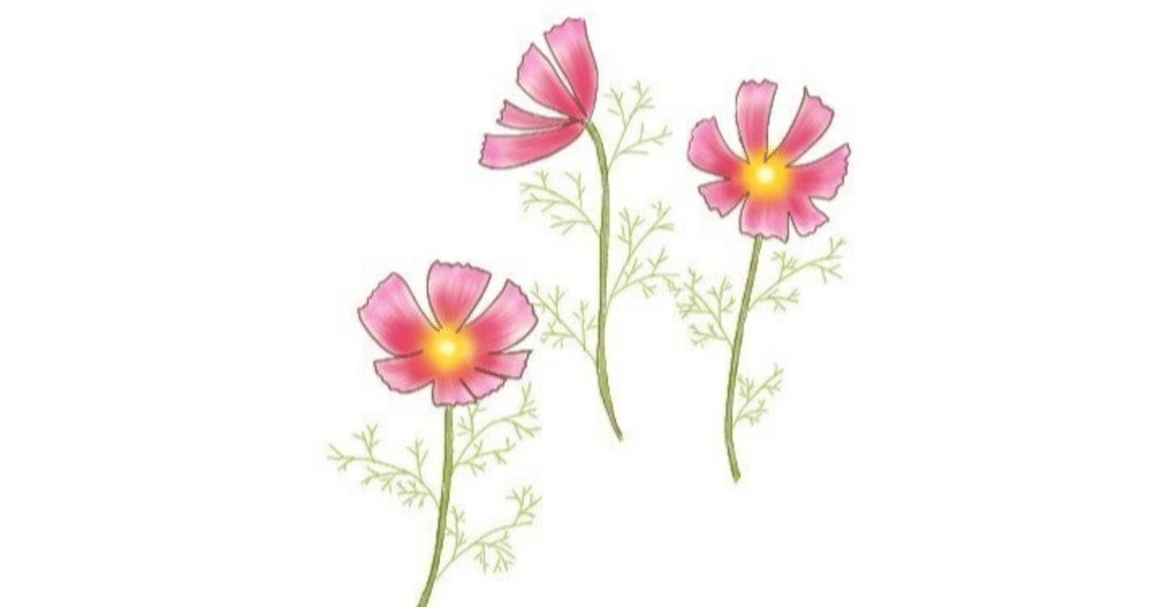 大阪大学 香川大学 医学部学士編入 合格証明書｜医学部編入試験